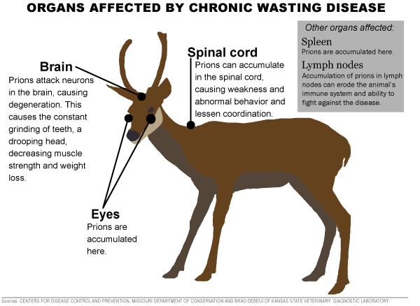Chronic Wasting Disease
